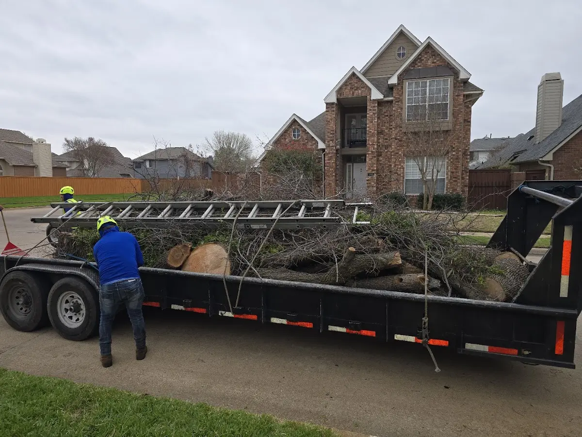 Expert Crown Reduction with proper safety equipment in Lutcher